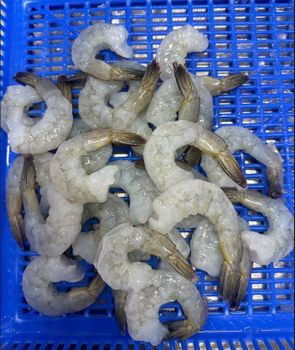 Frozen Vannmei Shrimp PDTO - Raw Packaging IQF Origin Vietnam Price Terms Cnf Tokyo Place of Origin Vietnam Frozen Weight Frozen Weight - Puchipal Ltd - Japan