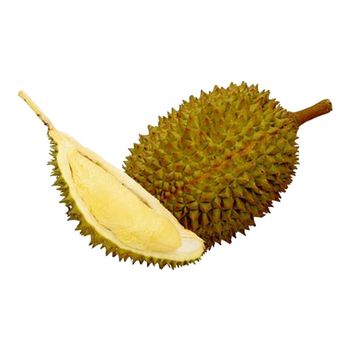 Fresh Durian Export Ready Tropical Fruit With Balanced Sweetness And Rich Texture For Fresh Fruit Wholesale Demand - TOSOH INTERNATIONAL - South Africa