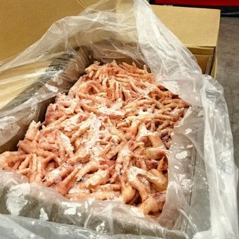 Frozen Chicken Paws , Premimum Quality, Grade A, Non Halal, 10 containers 40ft, Ready to load - A G E Logistics LLC - United Arab Emirates