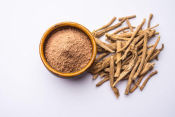 ASHWAGANDHA POWDER Net Weight 20,25 Kgs Packing Format With Box Packing Packaging Type Polyethylene Double - GURU HERBS AND AYURVEDA - India