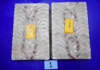 Shrimps from amigoseafood co Shrimps - amigoseafood co - India