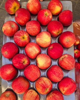 Fresh Royal Gala Apples for sale - NINE FRUITS EXPORTS (PTY) LTD - South Africa