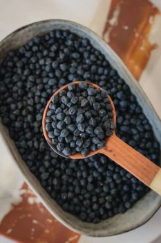 Black Pepper Grade A grade Model Number CX2908 Color Natural Black Origin South Africa Max. Moisture (%) 10 Cultivation Type Commond -  JAC SEEDS & OIL TRADING (PTY) LTD - South Africa