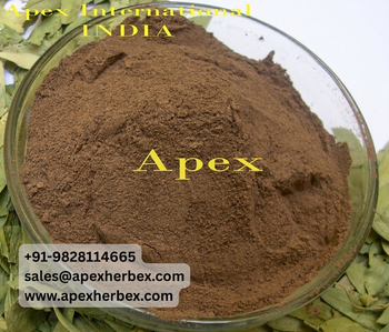 Senna Extract 5% USP, Senna Extract USP ,Dry Senna , Senna Leaf, Cassia Angustifolia Extract USP,Cassia Angustifolia Extract ,Senna Extract , Senna Extract Bulk Supplier From India - APEX INTERNATIONAL - India