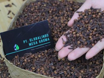 Lalpari Clove - PT Globalindo Mega Aroma - Indonesia