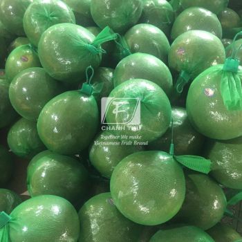 Fresh Green Pomelo citrus fruit Fresh Pomelo Fruit made in Vietnam honey pomelo - CHANH THU EXPORT AND IMPORT FRUIT COMPANY LIMITED - Vietnam
