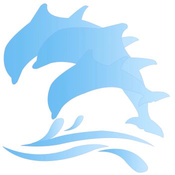 Product - Shandong Sannyue Machinery Technology Co., Ltd. - China