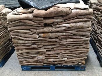 Factory Direct Wholesale Wet Salted & Dry Salted Donkey Hides Fresh Preserved Animal Skins for Global Leather Buyers from AGRONOVA Factory Direct Wholesale Wet Salted & Dry Salted Donkey Hides Fresh Preserved Animal Skins for Global Leather Buyers - AGRONOVA - United States