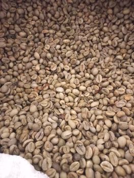 Indonesia Java Temanggung Robusta Grade 1 Green Coffee Beans