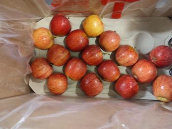 FRESH APPLES FOR EXPORT — GALA (Main Variety) | Middle East & India Ready from Power Wood Sp. z o.o. FRESH APPLES FOR EXPORT — GALA (Main Variety) | Middle East & India Ready - Power Wood Sp. z o.o. - Poland