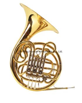 Wholesale French Horn Lkfh-3088 Fixed Bell Color Gold Age Adults Origin China Brand Faieat Trademark OME Certification - Jin Ming Musical Instruments Co., Ltd. - China