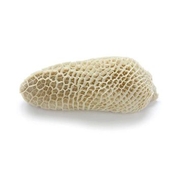 Frozen Beef Honeycomb Tripe Top Quality Halal Frozen Beef Tripe/ Cheap Beef Offal Available For Sale - BMU TRADING GMBH - Germany