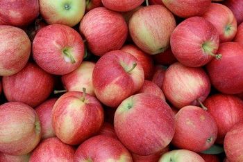 Fresh Apples ( Fuji,Gala,Red,Delicious Apples) - VM GENERAL TRADING PTY LTD - South Africa