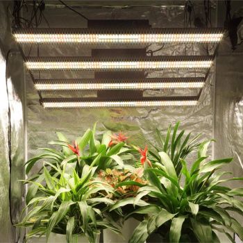 UVB and IR Red Grow LED Growing Plant Growing QS Factory UVB Ultraviolet Indoor Growing Grow Lights 400 Watt LED Full Spectrum with Evo (EMC) - Shenzhen Ledodm Lighting Co., Ltd - China