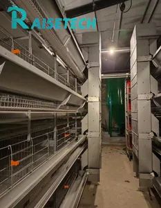 Advanced Long Service Life Tools for High-Accuracy Chicken Farms - Raisetech Co., Ltd. - China