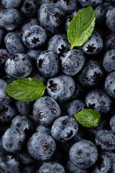 Blueberry Color Blue Quality Premium-quality Texture Sweet And Flavorful Nutritional Profile Nutritious Sustainability Commitment To - Ecozen Enterprises LTD - Kenya