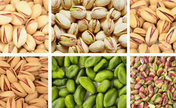 Pistachio in Shell and Kernel Product Type Nuts Flavor Mildly Sweet Processing Type Raw, Roasted, Kernel , In Shell Type Fandoghi, Kale Guchi, Badami, Akbari, Ahmed Aghaee - Ruby Herbal Supplies Co - Iran