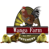 Product from WANGA FARM Product – product photo, Frozen Chicken Eggs products found from trusted suppliers, wholesalers, manufacturers & exporters Listing