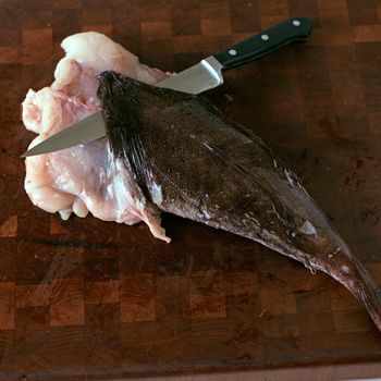 Bulk Frozen Monkfish Tail Premium White Fish Lobster Like Taste Seafood Wholesale Supply - PILOTEXPORT IMPORT AND EXPORT LTD - South Africa
