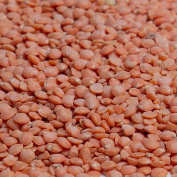 Superior Quality Red Lentils With High Purity Natural Flavor And Carefully Sorted Grains For Ingredient Preparation