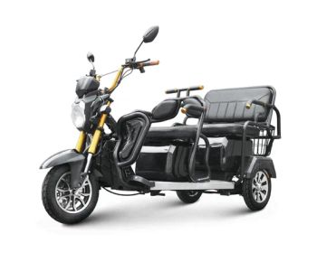 Three Wheeled Motorcycles Electric Tricycles 1000W Adult Electric Freight Transportation Leisure Bicycles Tricycles - Wuxi Sine Power Technology Co., Ltd. - China