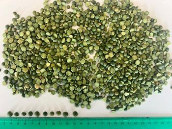Split Green Peas Ncm 0713.10.90 Sowing Month August Crop Month December Caliber Range From 4 To 8 Mm Scientific Name Pisum - Phalaris - Argentina