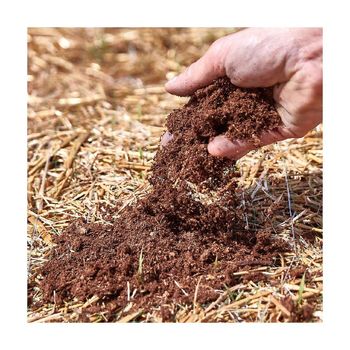 Wholesale peat moss available for potting soil and plant growth applications Premium quality peat moss from Koto Global Trade SPRL Wholesale peat moss available for potting soil and plant growth applications Premium quality peat moss - Koto Global Trade SPRL - Belgium