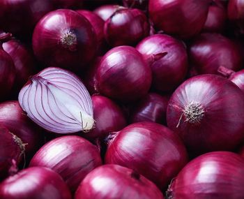 Fresh Onion Packaging 20 Shelf Life 6 months Harvest Locations Nasik, Pune Color Light And Dark Red Color Nutrient Benefits Rich Source Of Flavonoids, Good For Heart, Cancer Prevention, No Fats, No Cholesterol - TNT Enterprises - India