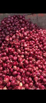Red Indian Onion – product photo, Dried Red Onion products found from trusted suppliers, wholesalers, manufacturers & exporters Listing