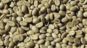 High-Altitude Bolivian Green Coffee Beans – 100% Arabica (Specialty Grade) – product photo, Long Green Beans products found from trusted suppliers, wholesalers, manufacturers & exporters Listing