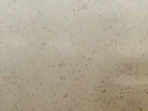 Tostone Saudi Arabian Castlebeige Limestone for Contemporary Spaces - XIAMEN TOSTONE IMP&EXP CO., LTD - China