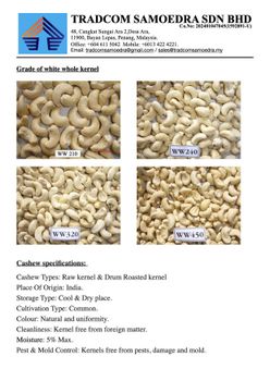 Agriculture, Food & Beverage – product photo, Food Beverage products found from trusted suppliers, wholesalers, manufacturers & exporters Listing