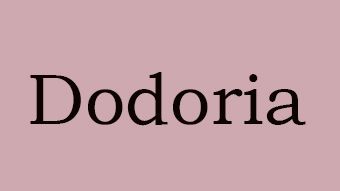 Product - Dodoria Garments Limited - China