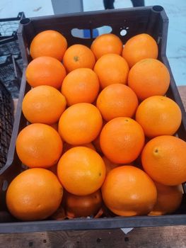 Quality Fresh Navel Orange for sale Organic Yes Variety Navel Texture Thin Skin Flavor Sweet Flavor Primary Use Juicing Color Vibrant Orange - NINE FRUITS EXPORTS (PTY) LTD - South Africa