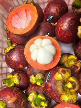 Premium Indonesia Fresh Mangosteen with Fresh Green Petal Shape Spherical Origin Indonesia Texture Soft And Creamy Place of Origin Indonesia - Sagara Rimba Altura - Indonesia