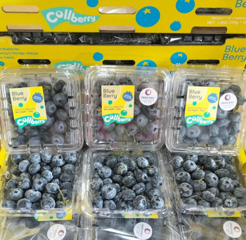 Premium Export-Quality Fresh Fruit Fresh Blueberries 125g Harvested At peak Ripeness Blueberries For Sale - Sosa Merchant Solutions - Austria