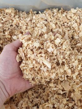 premium Pine wood shavings - GLOBAL TRADING - Pakistan