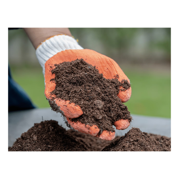 High quality peat moss for soil enrichment at wholesale bulk rates - MASI TRADING GMBH - Germany