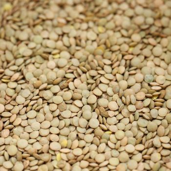 Carefully Processed Green Lentils For Food Industry Supply Green Lentils Offering Clean Grains And Strong Plant Protein - THE GREEN INTERNATIONAL LIMITED - Tanzania
