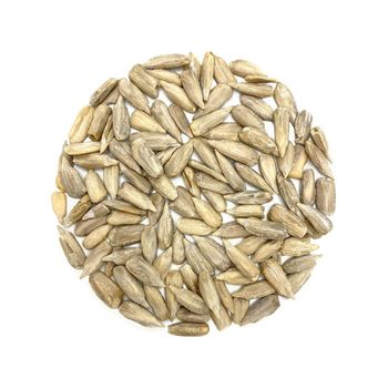 Sunflower Seed For Bird Feed Segment Offering Natural Nutrition Clean Kernels And Dependable Export Quantities - TOSOH INTERNATIONAL - South Africa