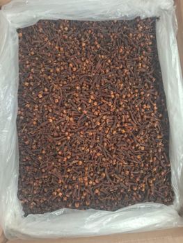 Whole Clovea - Nusa Moruun Trust - Indonesia