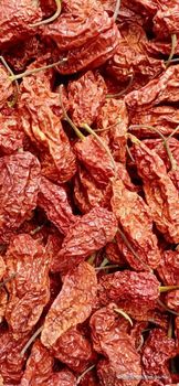 Dry Ghost pepper - king chilli - bhut jolokia - Kuhi Enterprise® - India
