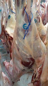 Beef Carcass from Bin Nasr FZE Beef Carcass - Bin Nasr FZE - United Arab Emirates