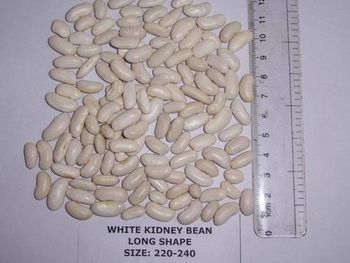 White Kidney Beans Sourcing Origin Tanzanian Fields Supply Chain From Tanzanian Fields To Warehouse - Farmers Cooperative Limited - Tanzania