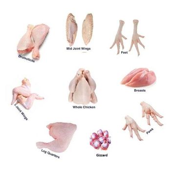 FROZEN POULTRY PRODUCTS CHICKEN CUTS HALAL - DNJ AXIS COMMODITIES - United Kingdom