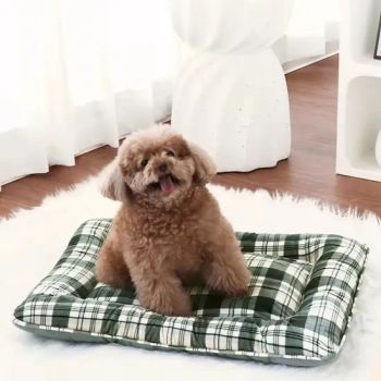 Breathable Dog Bed Pet Sleeping Mat Greyish Green Household Cat Carpet - Xiamen Plant-Port Technology Co., Ltd. - China