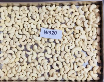 Processed Cashew Nuts - GIFEX AGRO TANANZIA LIMITED - Tanzania