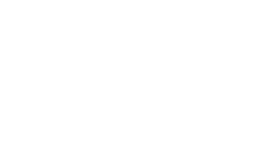 APLAYA FASHION ACCESSORIES MFG