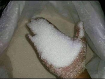 Sugar - BF GLOBAL TRADING (PTY) LTD - South Africa