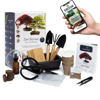 Cultivea Ready to Grow Premium Bonsai Kit Garden and Decorate Care for Your Bonsai and Natural Plants Thread Fertilizer Tools Round Scissors Bonsai Scissors Kit - Plant Fun ( Xiamen) Co., Ltd. - China